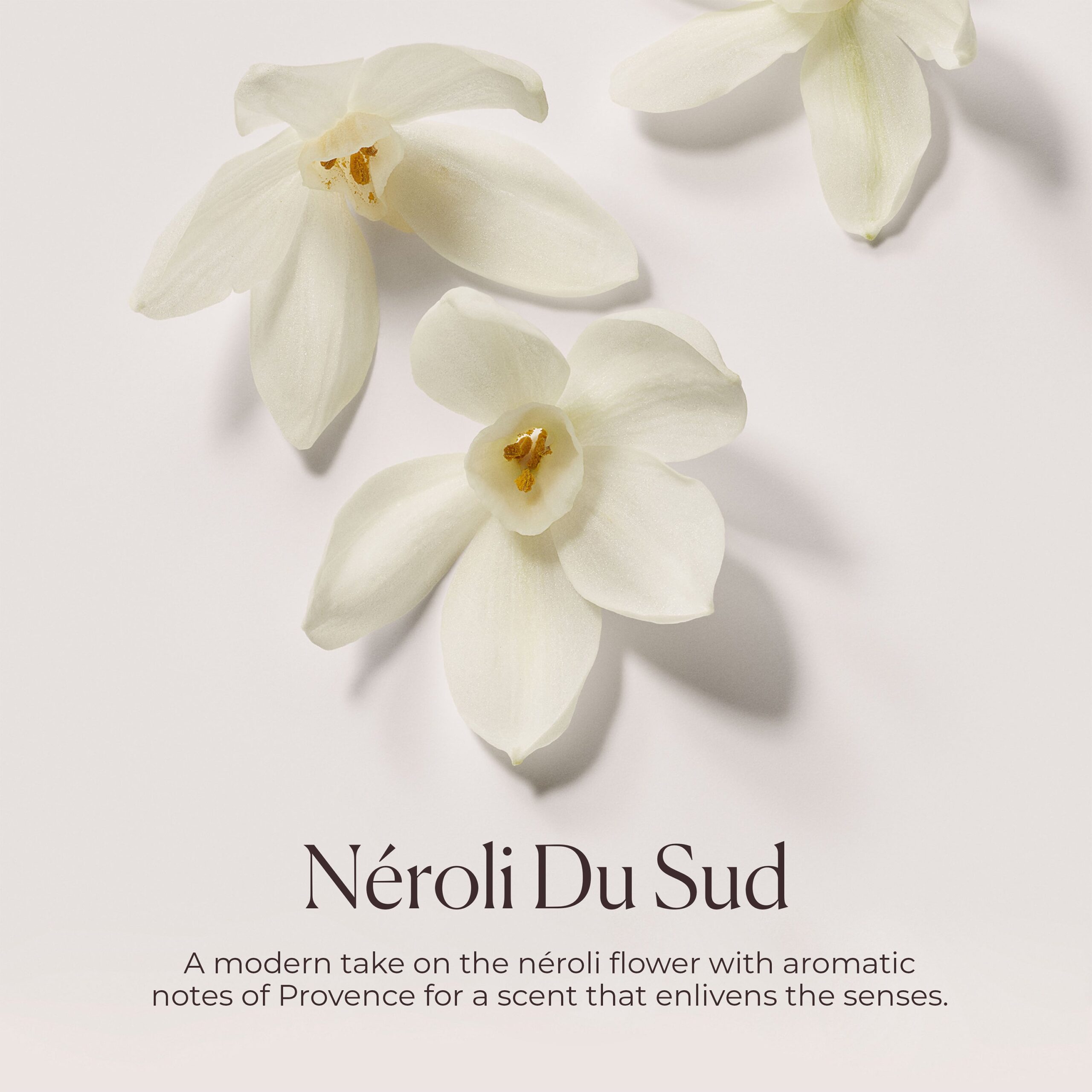N??roli du Sud Hydrating Body Wash - Image 6